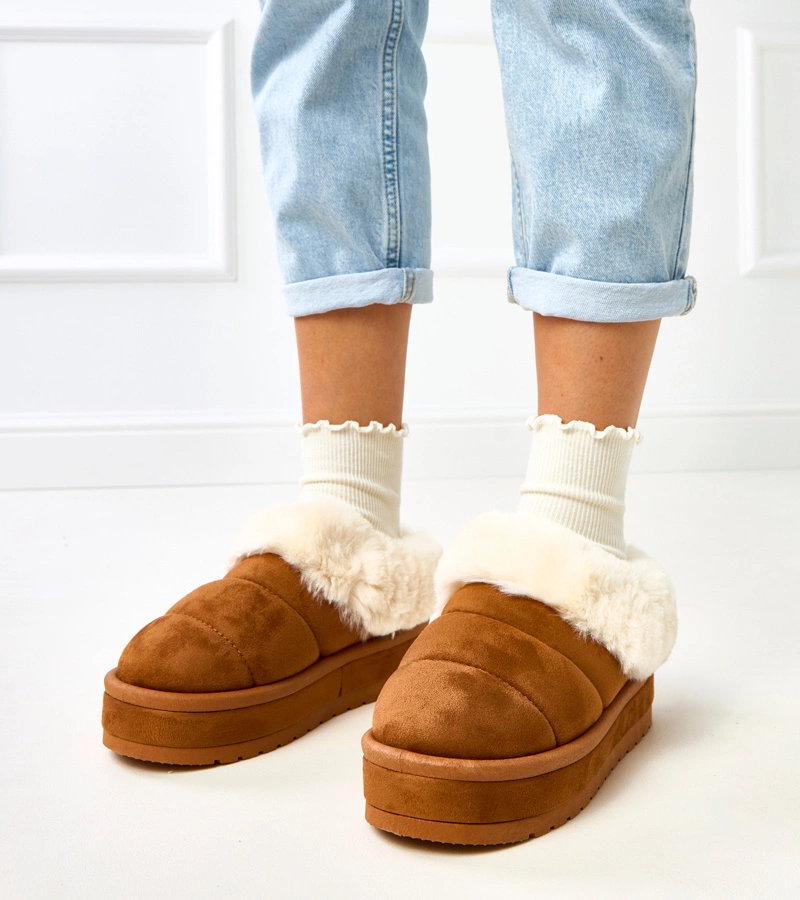 Barna rövid szőrmés hótaposó Almeida